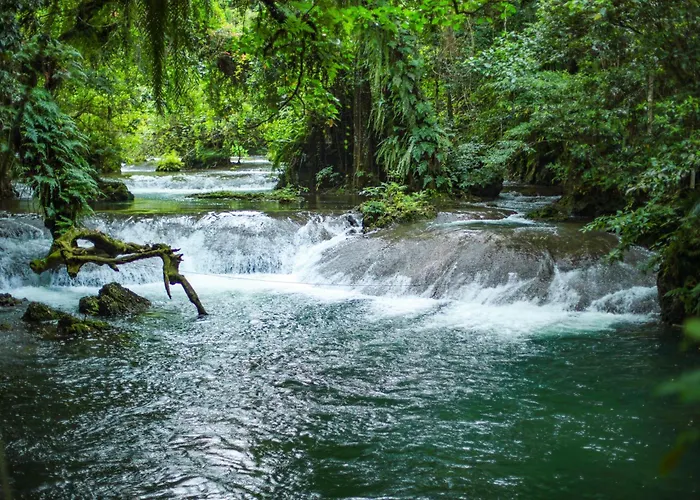 Stay At Eden On The River