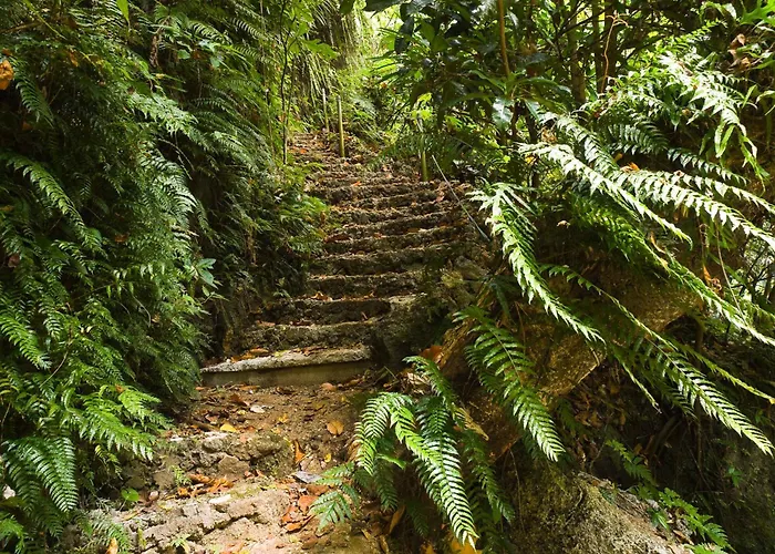 Stay At Eden On The River